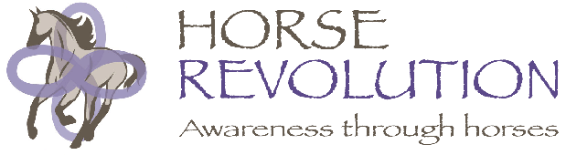 Horse Revolution